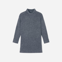 The Cozy Stretch Turtleneck Dress | Marin