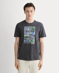 The ESENSMOD x Parks Project Essential Organic Crew | Forged Iron / Natural / Granada Sky Blue / Green